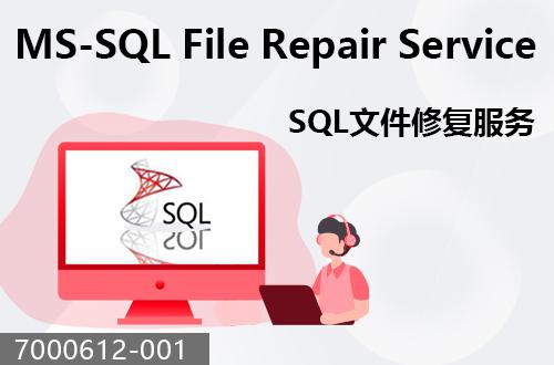 SQL文件恢復服務                                7000612-001
