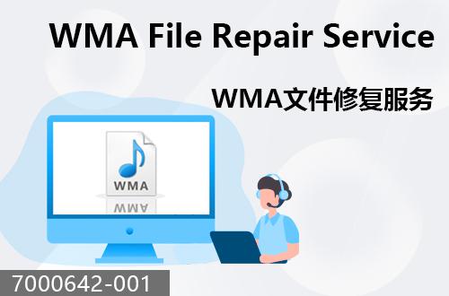 WMA文件恢復服務                                 7000642-001