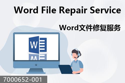 WORD文件恢復服務                               7000652-001
