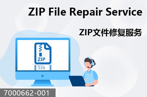 ZIP文件恢復服務                                7000662-001